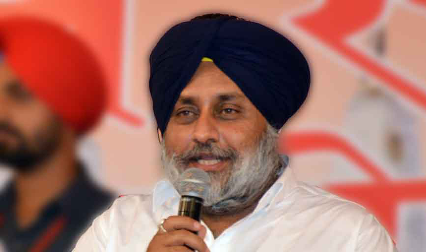 'Paddy procurement in Punjab to begin from Oct 1'