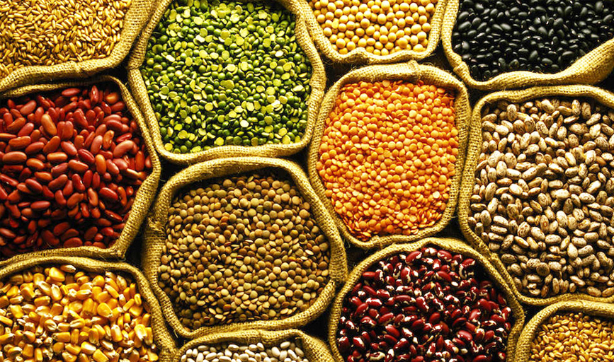 Announce higher MSP for pulses, speed up procurement: CEA panel