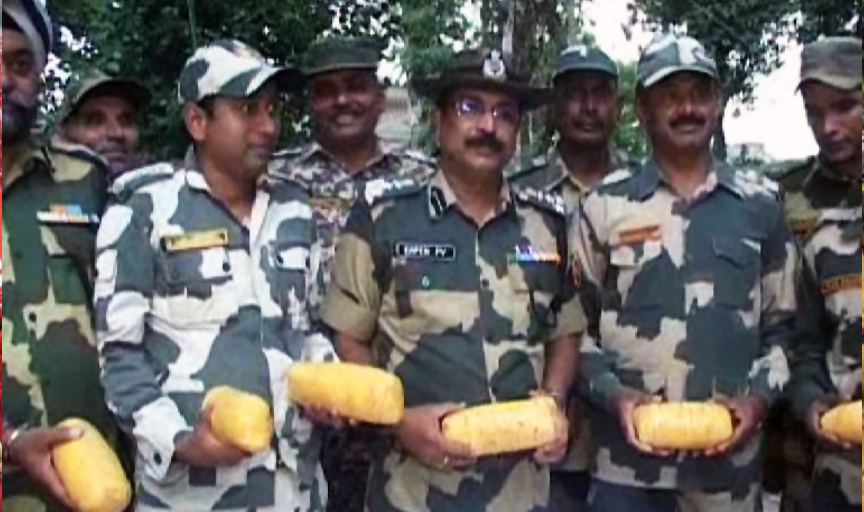 BSF seized 8 packets of heroin at fazilka