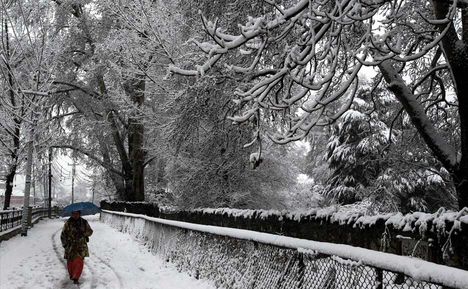 Snowfall In Srinagar, Wet Weather In Store Over Next Few Days