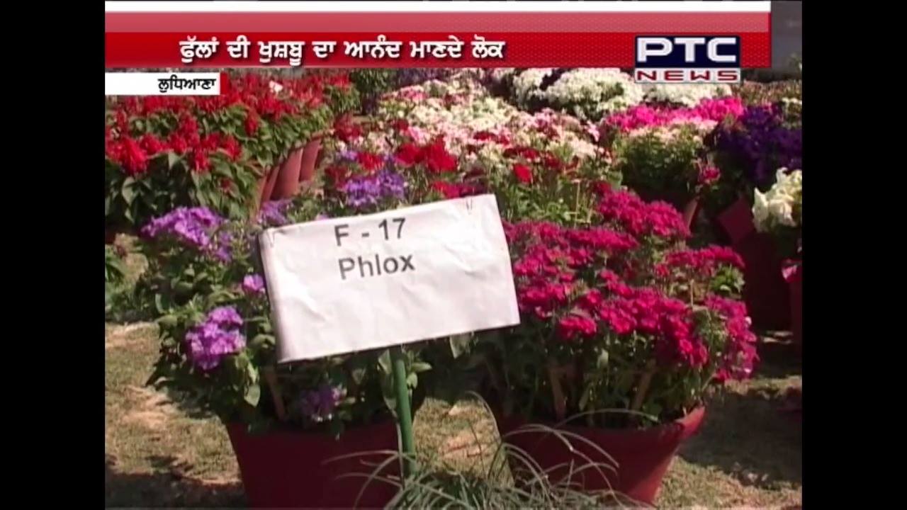 Visitors throng PAU's annual flower show