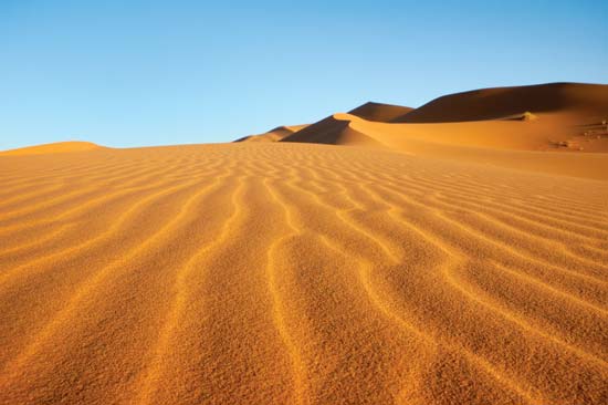 Human activities created Sahara Desert: study
