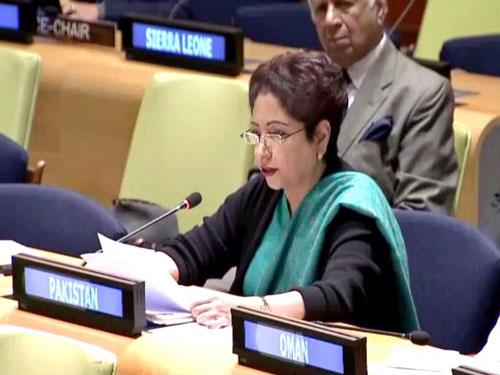 India's policy to isolate Pakistan a 'fool's errand': Lodhi