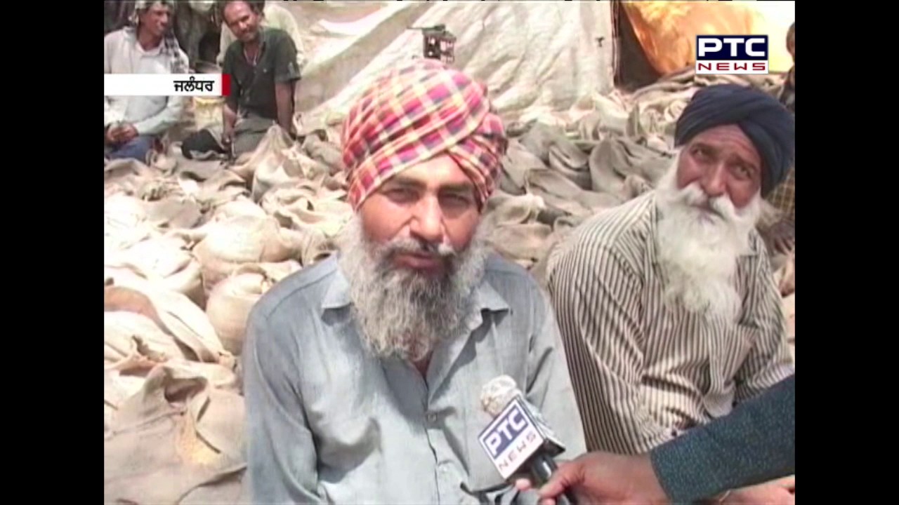 Wheat Procurement | A Ground Report From Jalandhar