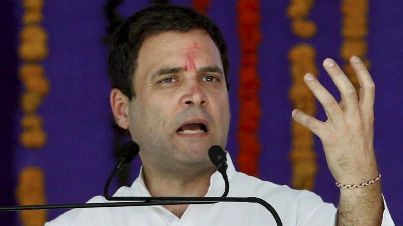 UPA would grant AP special status in 2019 if voted to power: Rahul