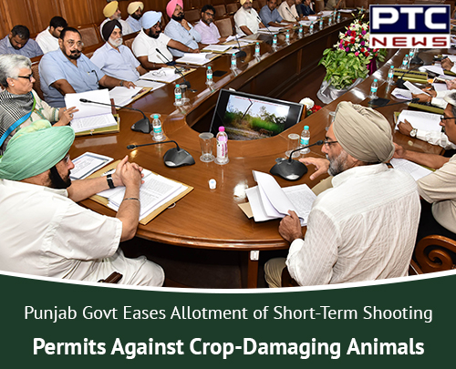 Punjab Govt eases allotment of short-term shooting permits against crop-damaging animals