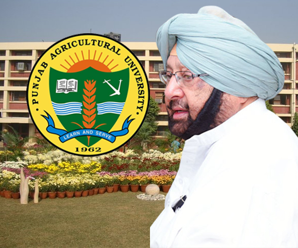 CM congratulates PAU for ICAR no. 1 ranking amongst state agriculture universities