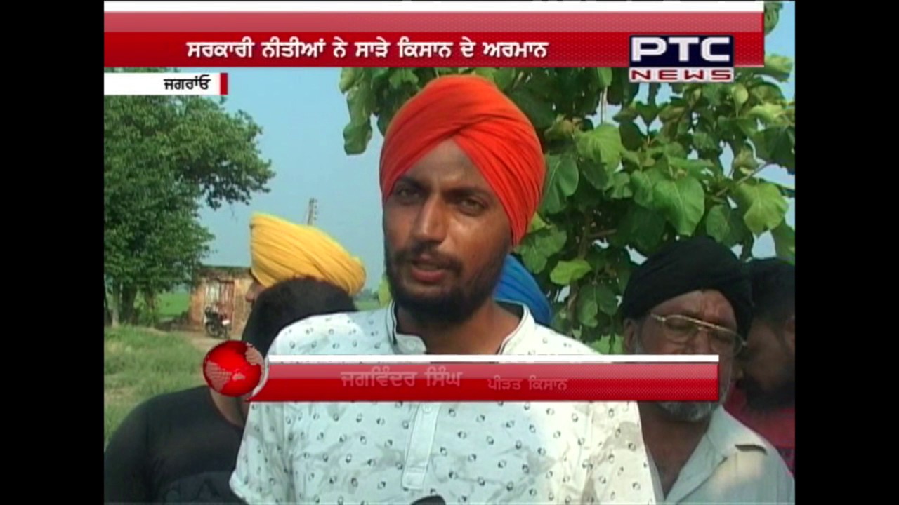 Farmer Protest on Punjab Government & Burned Their Potato Crops