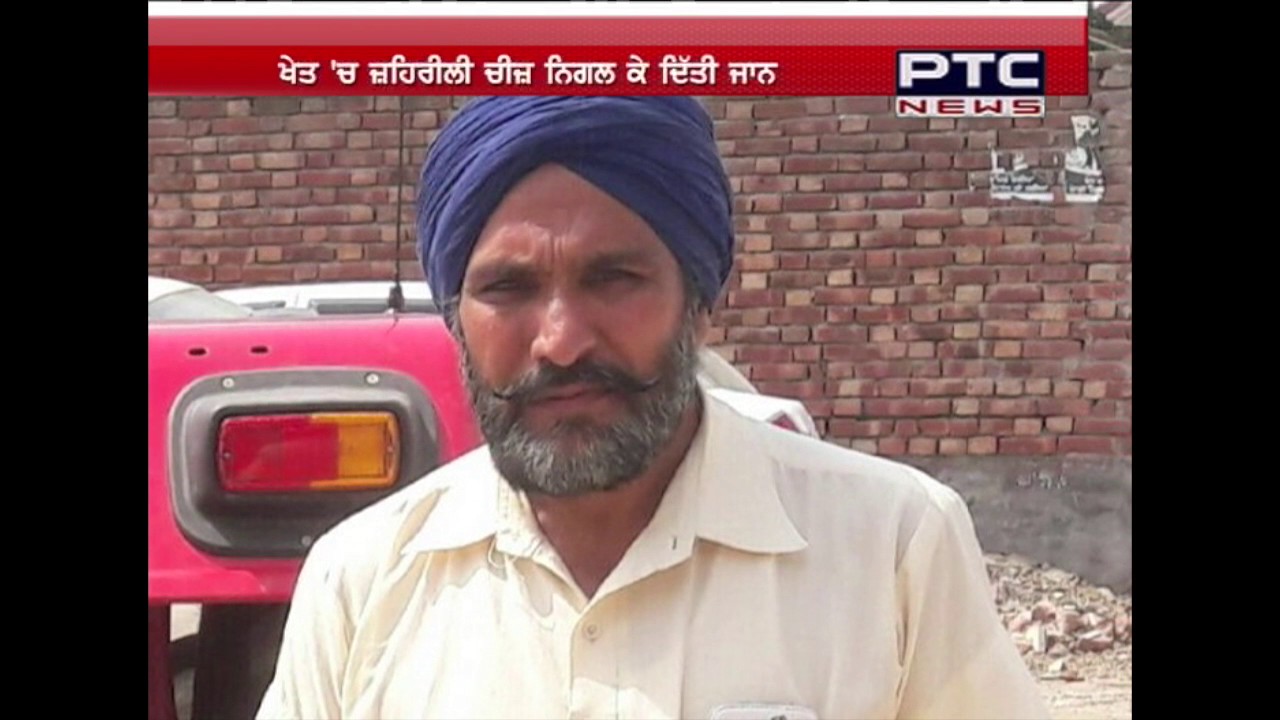 Watch : Where two more debt ridden farmers commit suicide in Punjab