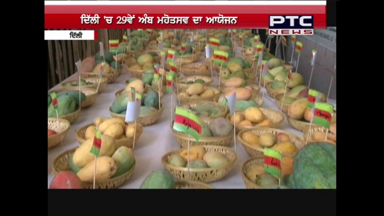 29th Mango Festival at Dilli Haat Janakpuri