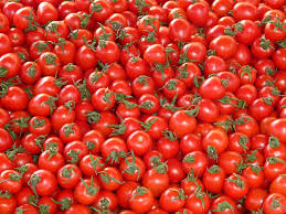 Tomato prices likely to decline in next 15 days