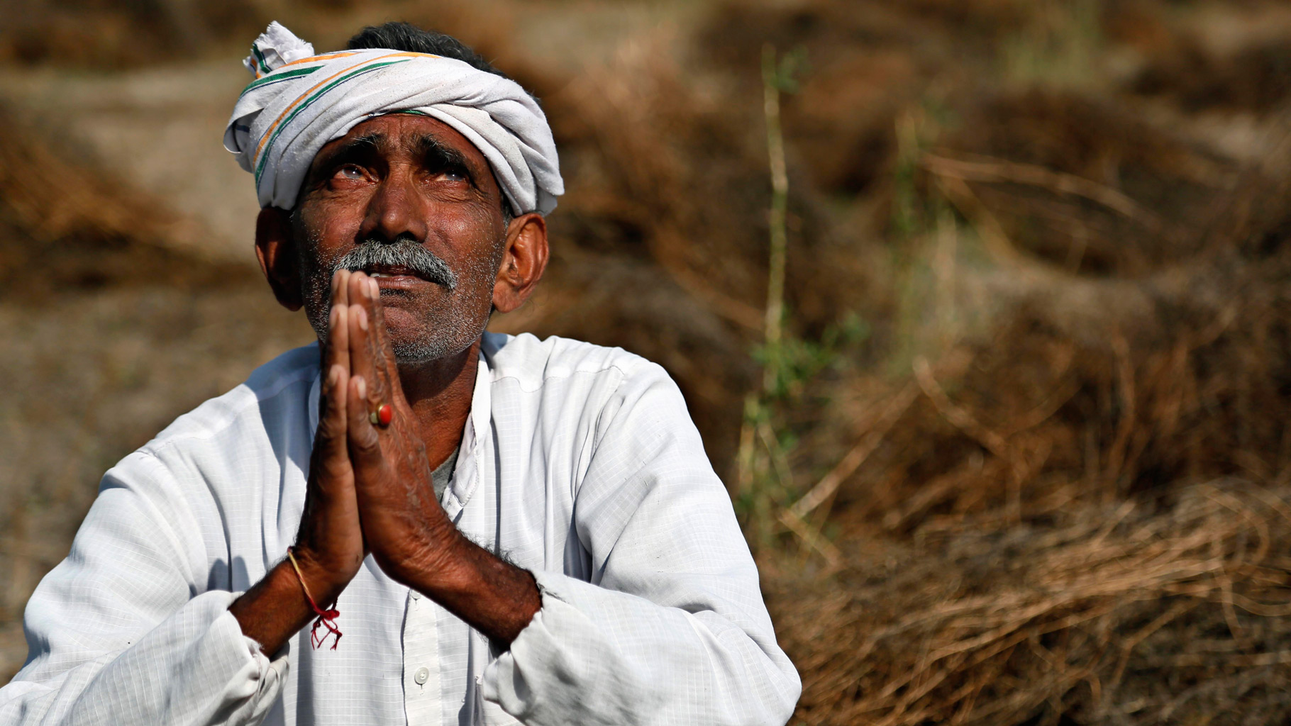 The plight of Farmers in India is depleting the roots of the nation