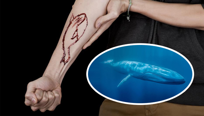 Another 14 year old boy falls victim to the Blue Whale Challenge
