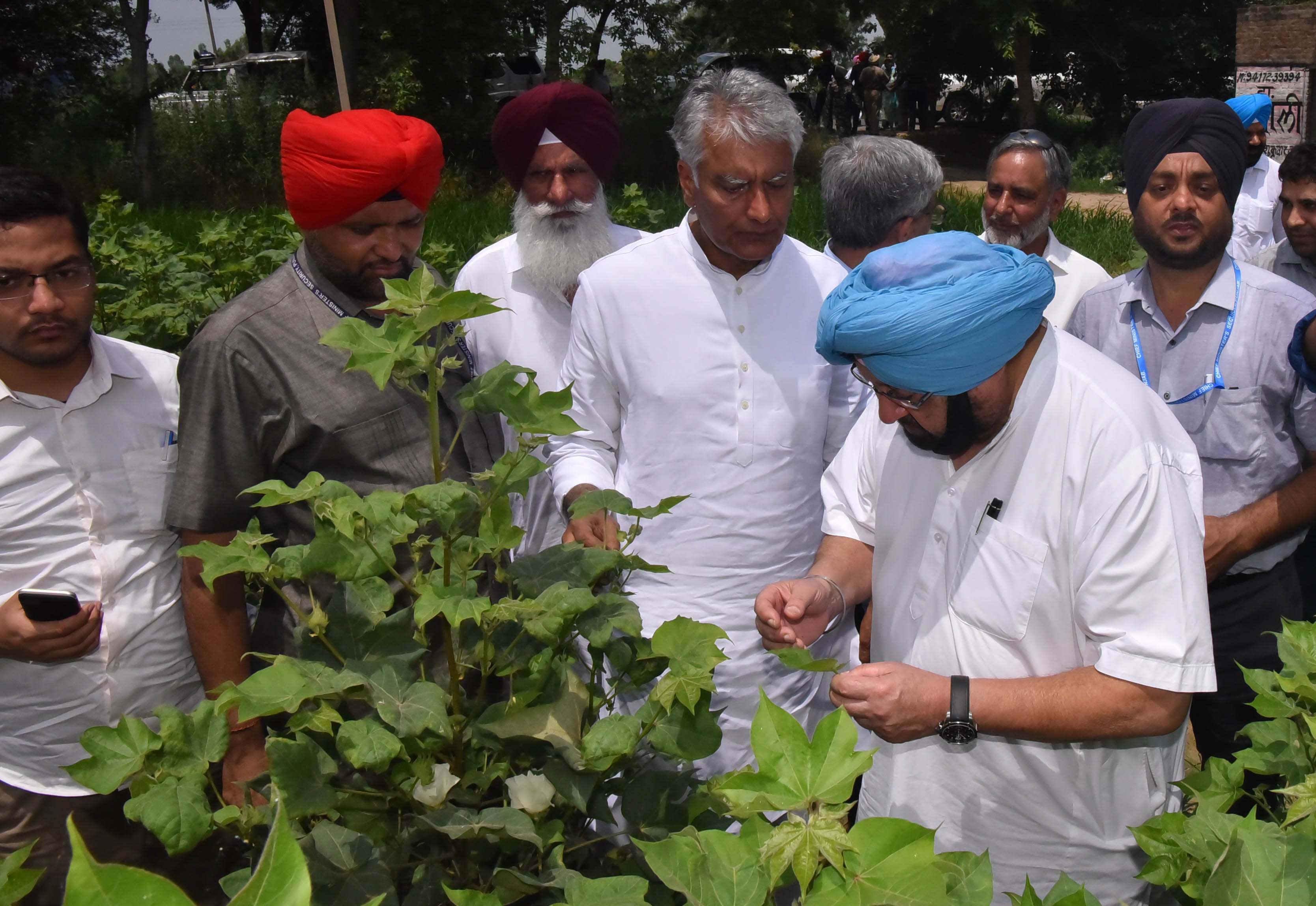 Capt Amarinder promises strict action against suppliers of spurious pesticides & seeds, urges farmers to use PAU recommended varieties
