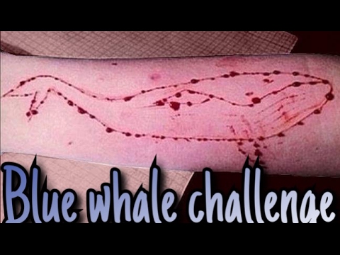 Taking internet by storm, and teenagers to suicide- Blue whale Challenge