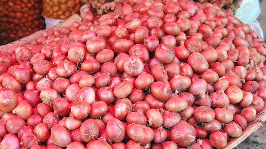 Onion prices rise two-fold today