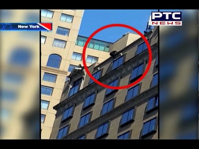 Woman Jumps To Her Death From 12th Floor of 1 Hotel Central Park in New York