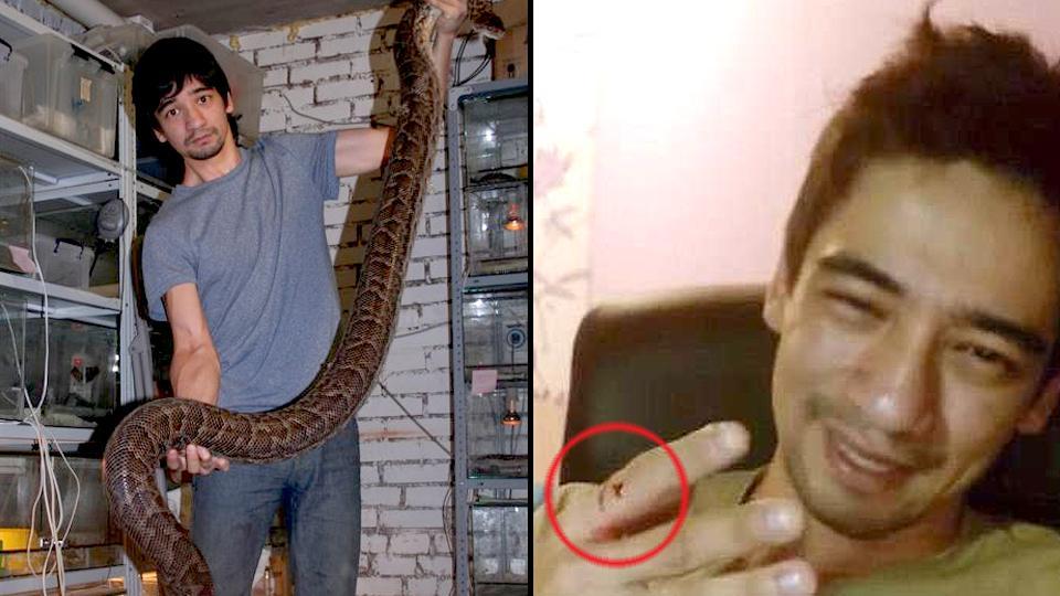Snake expert lets pet black mamba bite him, live streams suicide