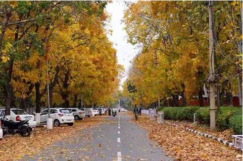 Autumn has seated in Punjab already