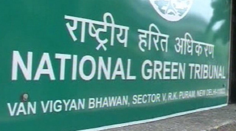 Delhi govt faces NGT wrath over use of plastic in city