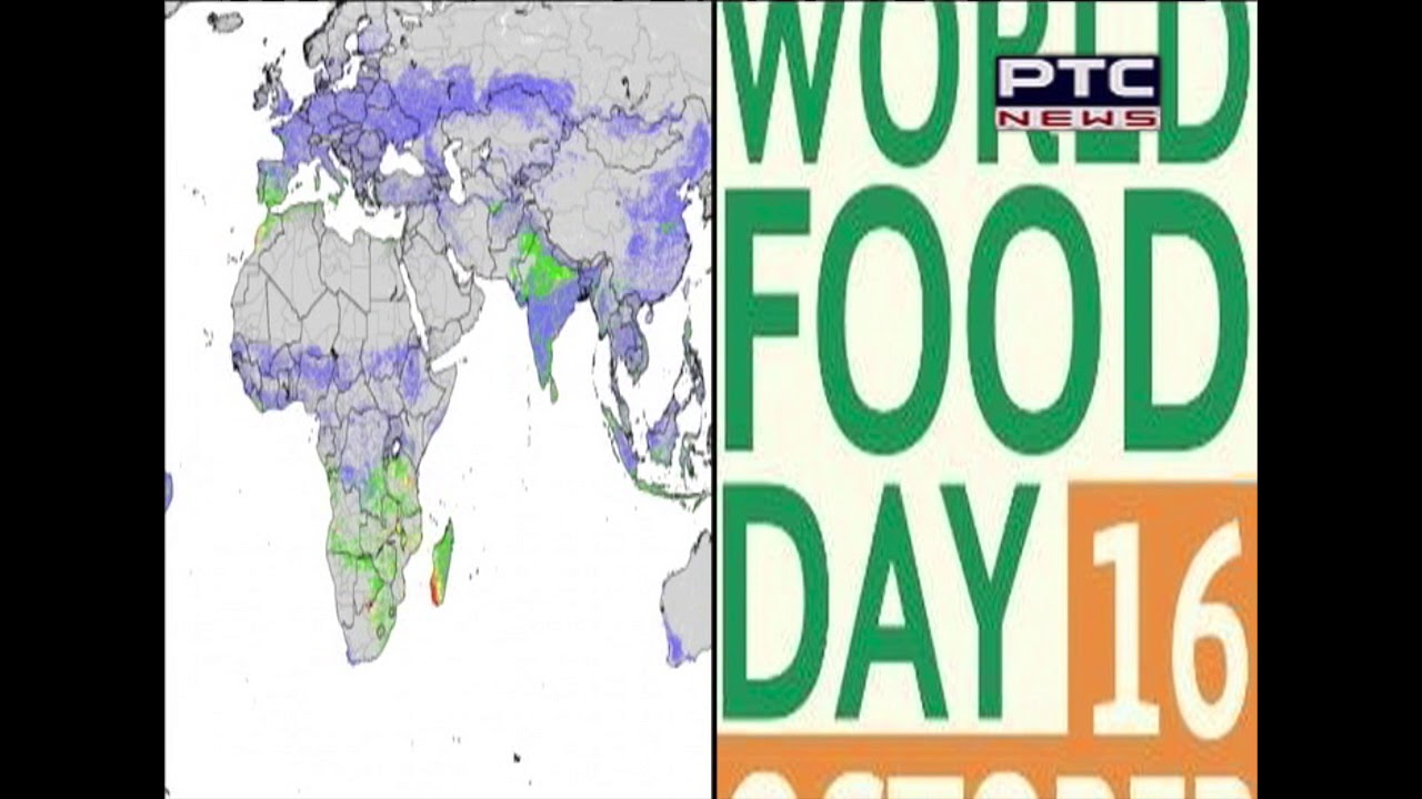 World Food Day |A special report