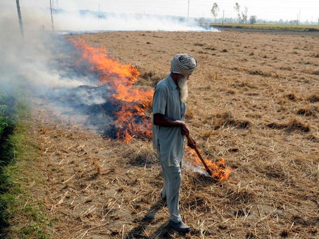 Stubble Burning: 6 FIR registered against Farmers in Sangrur