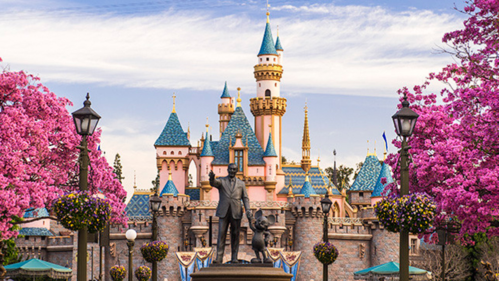 9 YO books ticket to Disneyland With Father's Credit Card, Guesses His Password