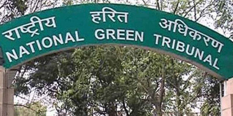 Install rainwater harvesting system in two months: NGT to Delhi schools, colleges