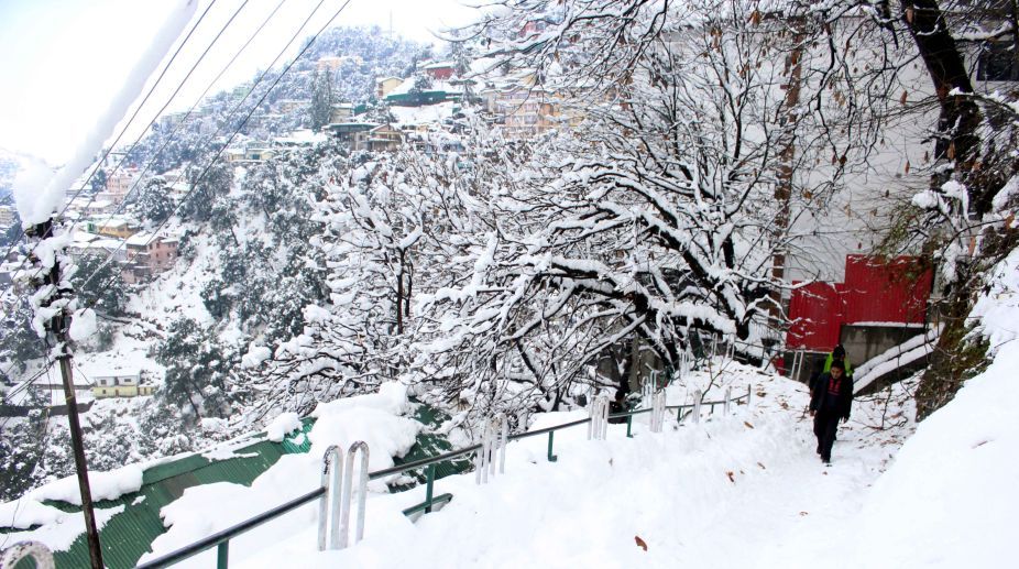 Moderate snowfall in high-altitude areas in Himachal Pradesh