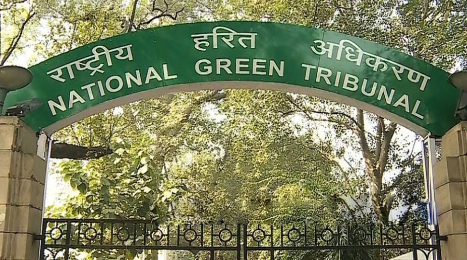 NGT refuses to exempt women, two-wheelers from odd-even scheme
