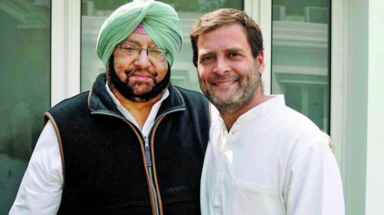 Rahul mature, competent to lead Cong: Captain Amarinder