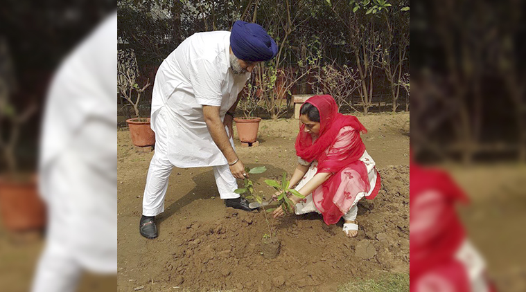 I and Harsimrat have planted a sapling, a tribute, a hope to strengthen values, Sukhbir Singh Badal