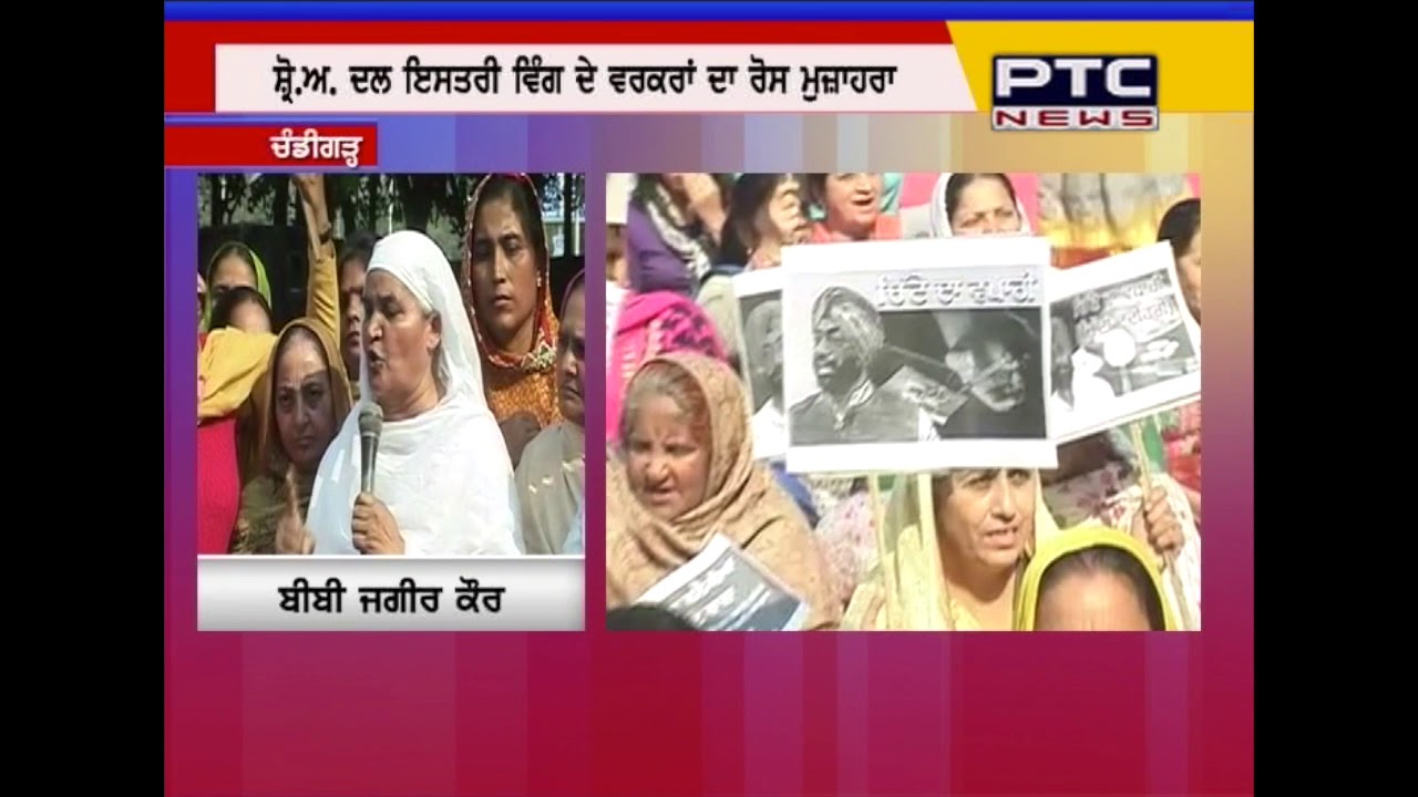 Watch: Why Istri Akali Dal staged protest against Sukhpal khaira?