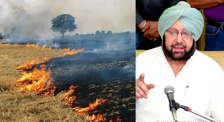 Punjab CM Again Writes To PM For Stubble Burning Compensation To Check Pollution