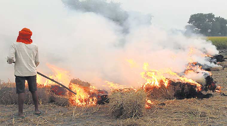 Punjab: 14 farmers fined in Moga for burning stubble
