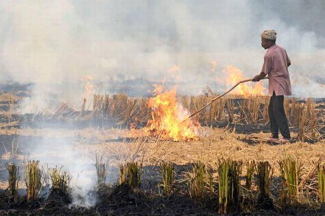 Centre approves 100 crore project to tackle stubble burning