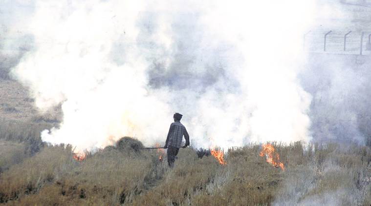 MPs seek permanent solution to stubble burning