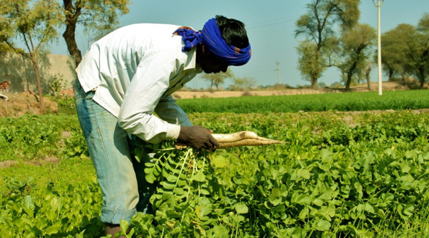 ‘Secured price’ for veggie farmers now under Bhavantar Bharpai Scheme