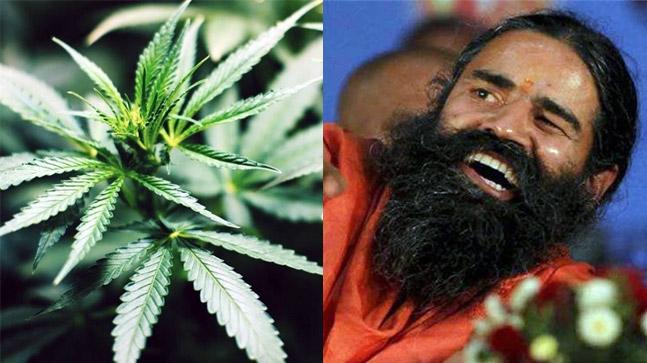 Baba Ramdev’s Patanjali Wants Marijuana Legal In India!