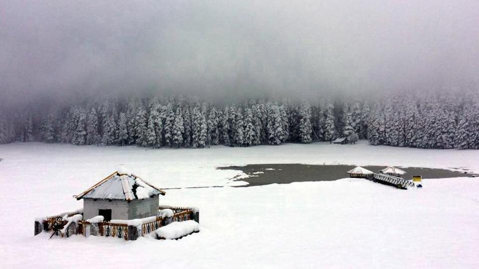 Snowfall in Shimla, Manali cheers up Tourist and Apple Growers