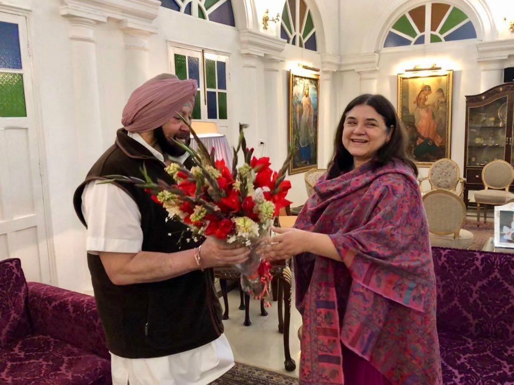 Punjab CM assures Maneka of probe into dog fights, related betting in state