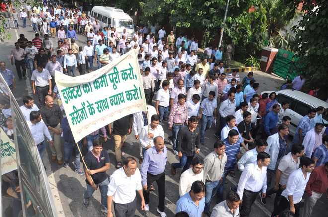 Doctors take out protest rallies in Haryana & Punjab