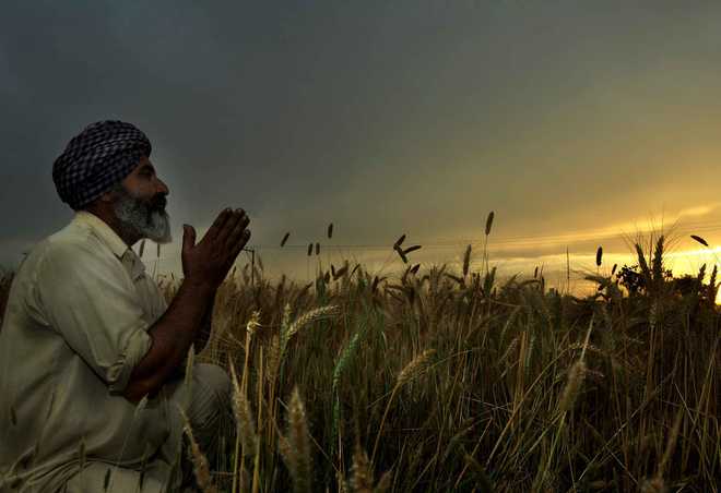 Rains lash parts of Punjab, Haryana; leaving farmers worried