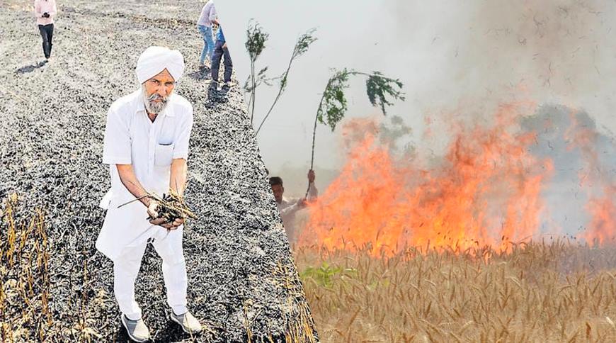 Cong govt’s callous, inhuman attitude pushing fire hit farmers into jaws of death: SAD