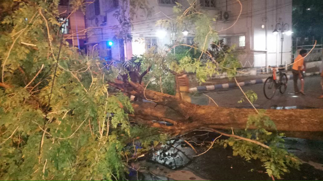 7 dead, several injured as massive storm hits Kolkata, suburbs