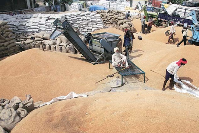 SAD hits out at Punjab govt over wheat procurement arrangements