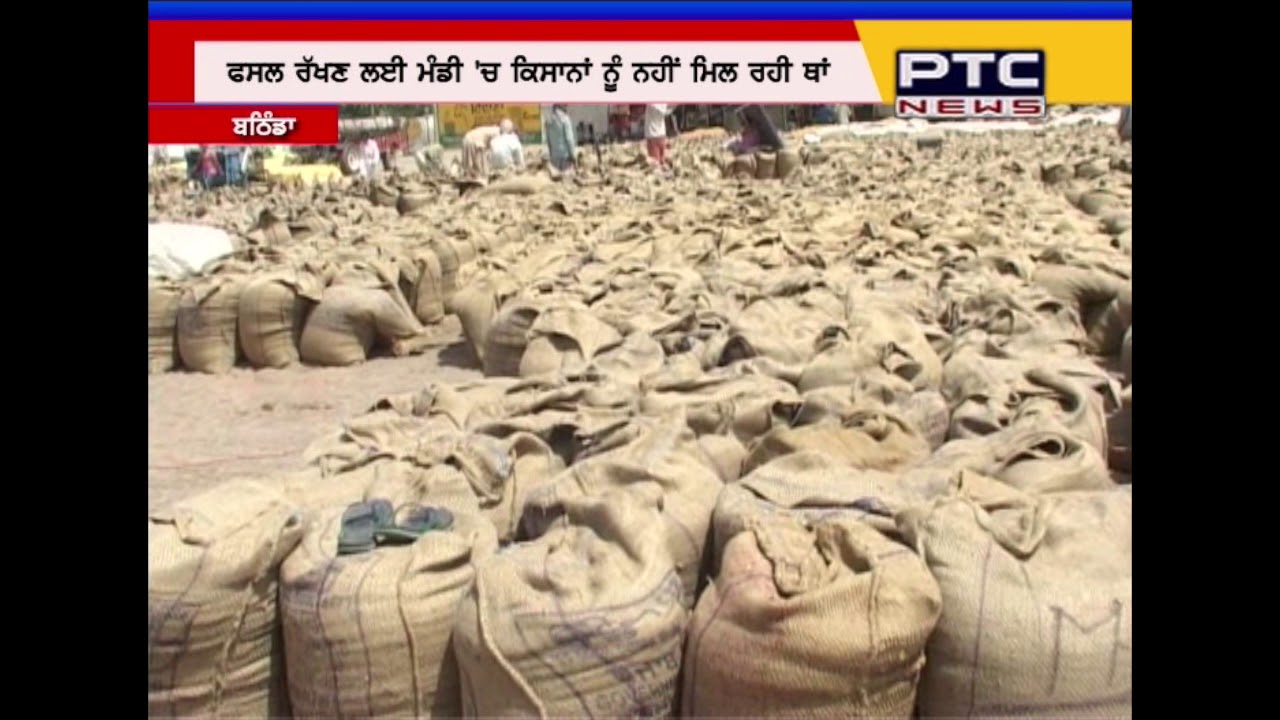 A ground report of wheat procurement in Bathinda | Punjab