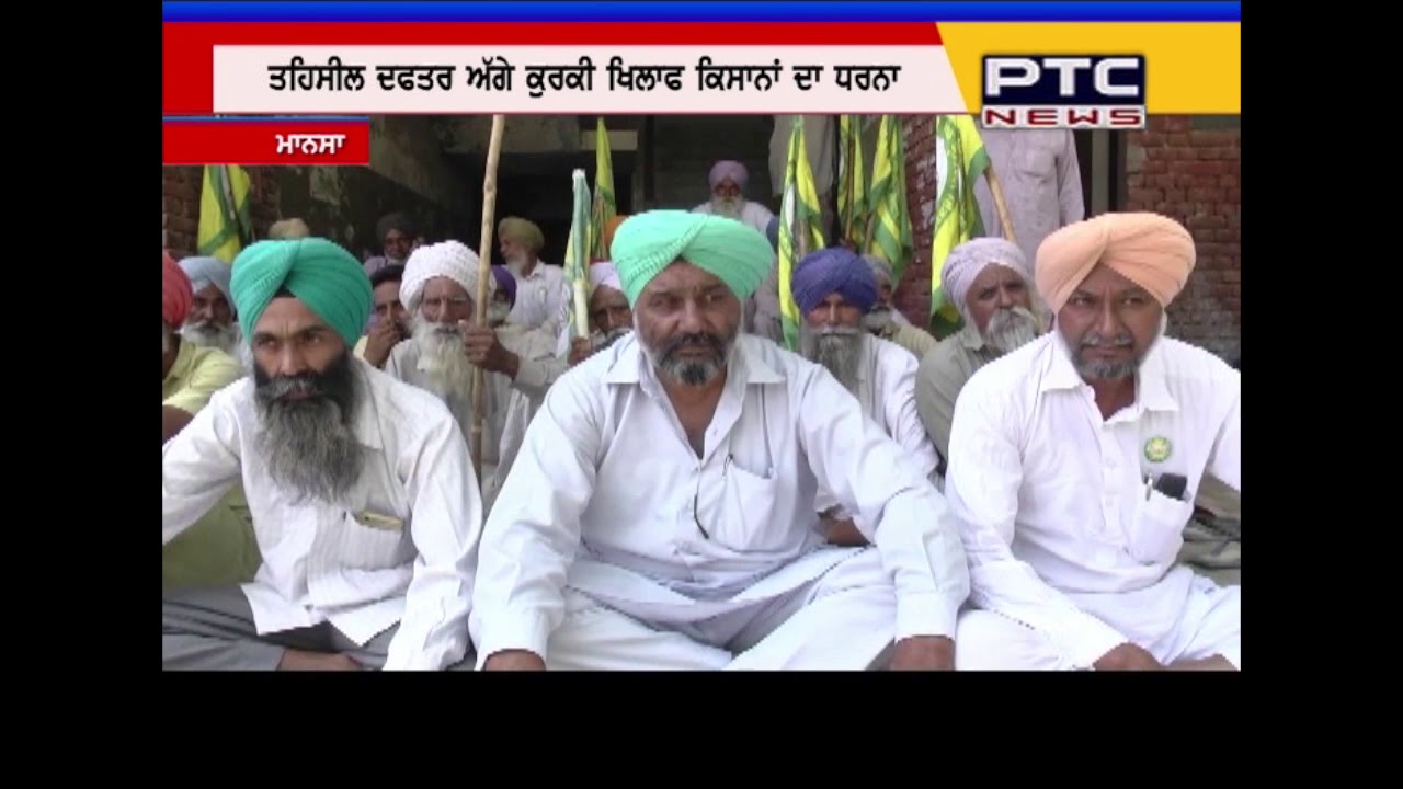 Farmers staged protest against Kurki in mansa