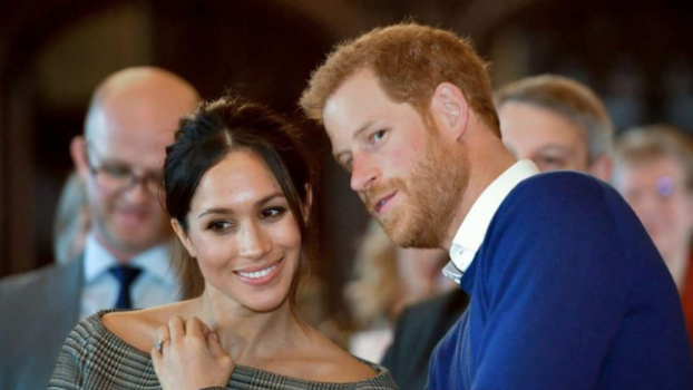 Prince Harry, Meghan pick Diana's favourite flower for wedding
