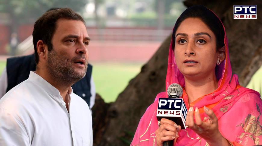 Congress can offer only one thing - LIES!, Harsimrat Badal slams Rahul Gandhi and his stale 